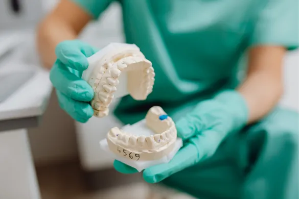 A dentist holding dental casts.